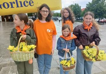 XIV Gorlicki Marsz Żonkilowy