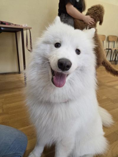 WhatsApp Image 2026-04-18 at 08.53.10.jpg