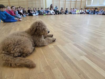 WhatsApp Image 2026-04-18 at 08.53.12.jpg