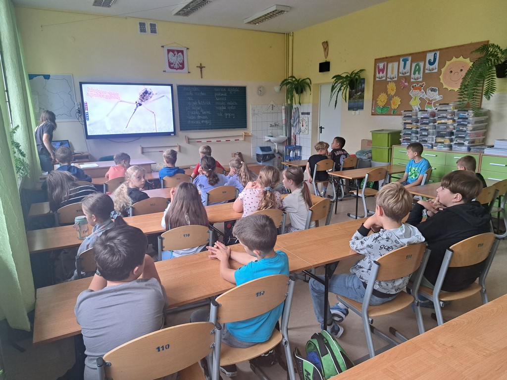 W świecie owadów