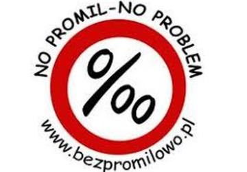Kampania „No Promil – No Problem” w naszej szkole